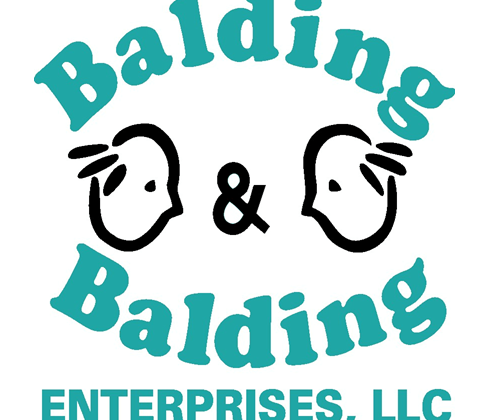 Balding & Balding Enterprises, LLC